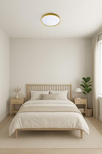 Plafon LED Moderno 40cm (36W) e 50cm (48W) | 3 Cores (3000K-6000K) | Redondo ou Quadrado (30cm Redondo Madeira Clara)