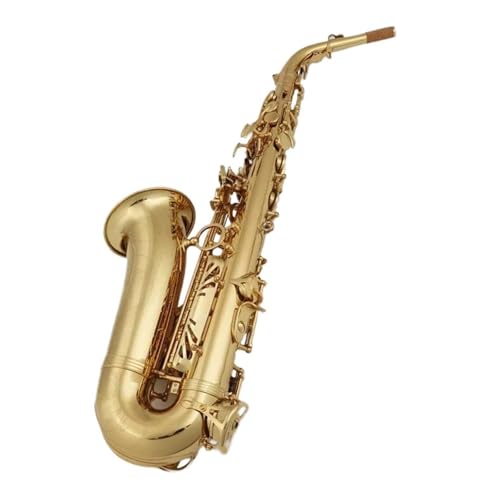 vdlAgTbNX J[uhvdlAgTbNXBtbguX}EXs[Xt