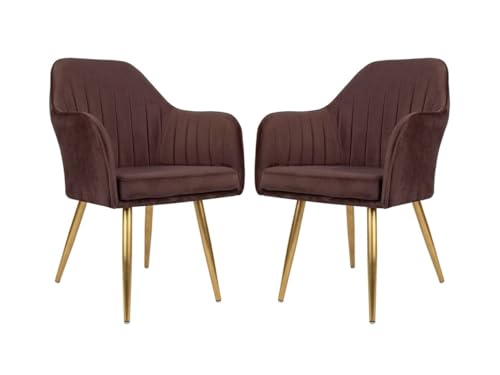 Image of Accent Chairs for Living Room | Modern Armchair in Velvet Fabric with Golden Legs | Pack of 1 Chair for Home, Office, Restaurent, Cafe (Brown)