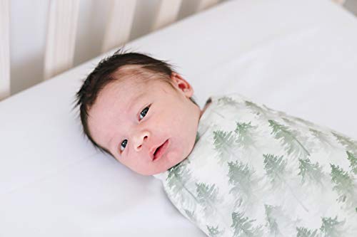 Image of Copper Pearl Swaddle Blankets for Newborns | Soft Stretchy Receiving Blankets for Boys and Girls | Large 46 x 46 Inch Baby Blankets | Lightweight and Breathable Swaddles | Evergreen