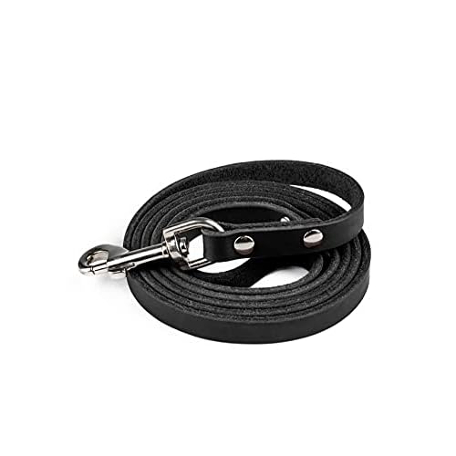 Mighty Paw Luxury Leather Dog Leash - Genuine Material Leather Leashes for All Pet Sizes - Pet Lead - 5 ft Premium Quality - Soft Material - Light Brown