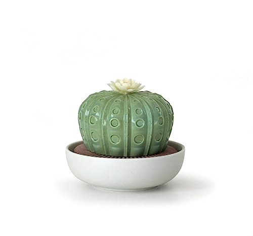 LLADRÓ Astrophytum Cactus Diffuser. Gardens of Valencia Scent. Porcelain Aroma Diffuser.