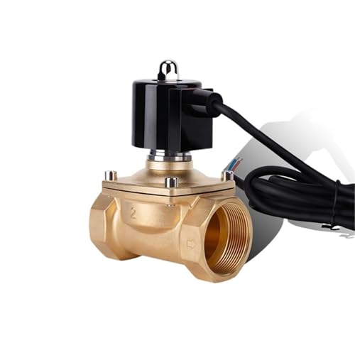 Électrovanne de fontaine laiton robuste DN50 24VDC de haute précision