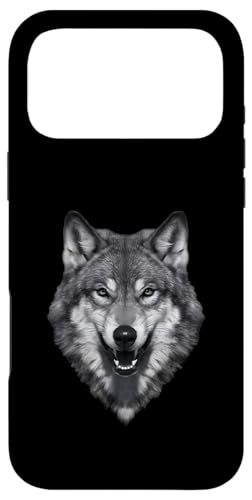 Etwbh X}zP[X iPhone 17 Pro Max p