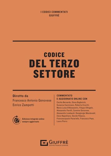  Codice del terzo settore