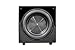 Earthquake Sound MiniMe DSP P-10 10-inch Powered Subwoofer with DSP Control and SLAPS Passive Radiator Technology
