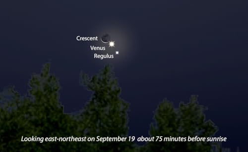Page de couverture de Minnesota Night Skies: all the planets hang out in the morning sky, and "cosmic baloney"