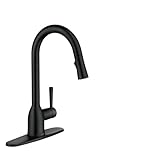 Moen 87233BL Adler One-Handle High Arc Pulldown Kitchen Faucet with Power Clean, Matte Black