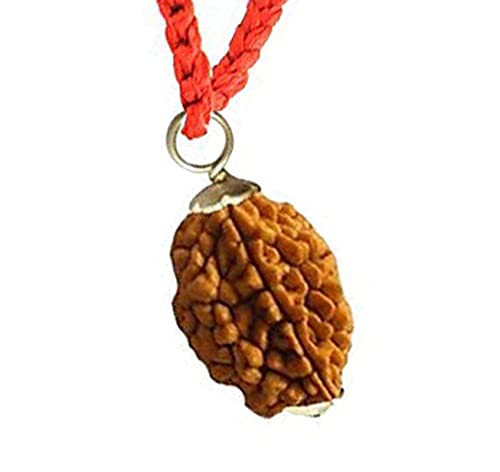 Amazon.co.jp: DENMOUS 2 Mukhi Rudraksha シルバー ペンダント