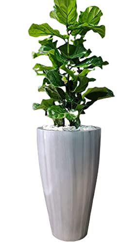 La Mejor review de Macetas decorativas grandes que Puedes comprar On-line. 14 Imagen adicional