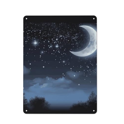 Ciel nocturne en affiches murales métal pour un bar ou un salon cosy