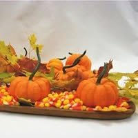 5 Semillas de Jack 1A235-B-Quik calabaza