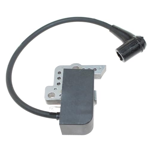 Module d'allumage Echo pour résoudre les problèmes de démarrage à chaud - 5