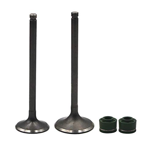 Road Passion Engine Intake & Exhaust Valve stem & Oil seal for CRF150F /CRF230F /SL230 /FTR223 /XR230
