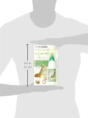 PetzLife 891009 Complete Oral Care Spray Peppermint Blister-Package for Pets, 4-Ounce