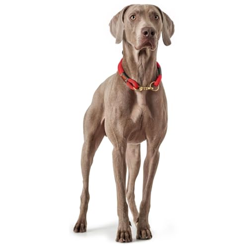 HUNTER Oss Halsung, Halsband für Hunde, Tau, Seil, Messing-Karabiner, Maritim, Rot, M-L