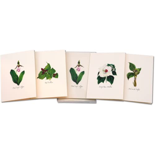 Image of Earth Sky + Water - Woodland Wildflower Assortment Notecard Set - 8 Blank Cards with Envelopes (2 each of 4 styles)