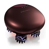 ゾーガンキン　スカルプ　EMS ZOGANKIN®︎ ゾーガンキンスカルプ EMS付 美顔器 – SOLVE beauty