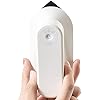 LANRU Portable Mini Electric Iron Cordless Rechargeable Dry Iron Wrinkle Remover Touch-Up Ironing for Home Business Trip Travel
