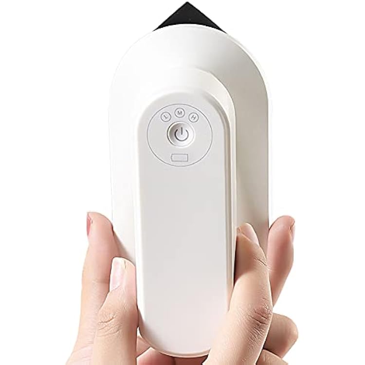 LANRU Portable Mini Electric Iron Cordless Rechargeable Dry Iron Wrinkle Remover Touch-Up Ironing for Home Business Trip Travel