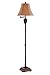 Stein World 99845 Roderick Resin Floor Lamp, 15" x 15" x 61.5", Bronze