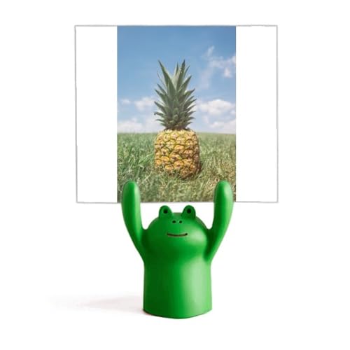 Support pour photos de fruits tropicaux pour décorer votre bureau