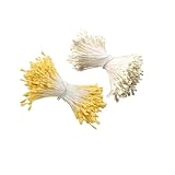 Shirene Künstliche Blumenstaubblätter,2 Bündel 3mm Matt Weiß & Gelb Doppelkopf-Staubblätter,Staubblatt aus Gips mit Fadenstiel für Pfeifenreiniger Blumen Basteln,DIY Deko mit Steckschaum