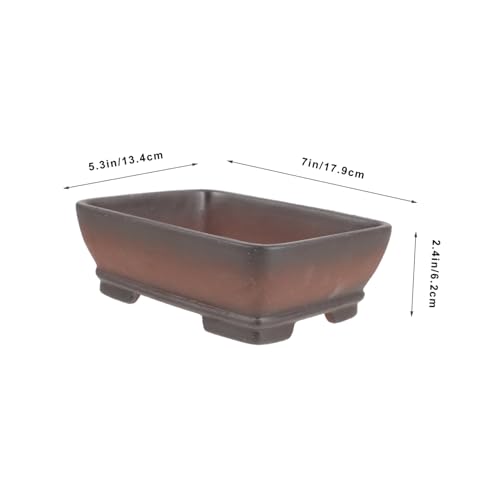 Pot à bonsaï compact et léger pour petits espaces intérieurs - 3