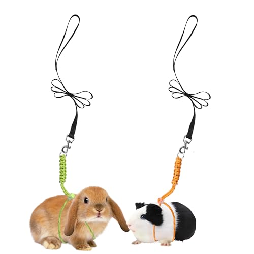 GOMICRAFT Handmade Figure 8 Harness and Leash for Ferrets/Bearded Dragons/Guinea Pigs/Rats/Chinchillas/Reptiles/Birds/Squirrels/Small Animals