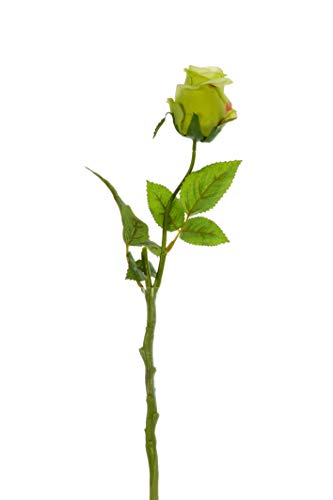 Express Flor 4 Rosas Artificiales Cerradas de Seda de 42cm Verde