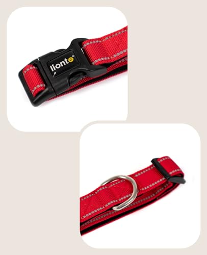 lionto Hundehalsband aus strapazierfähigem Nylon, Größe M, weiches gepolstertes Halsband für Hunde, 360° reflektierend & Klickverschluss, Metallring & Anpassung durch stufenlosen Schieber, rot