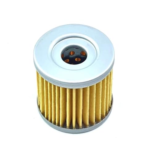Filtre à air moto HYOSUNG GV250 contre l'usure du moteur QM250-6 avec son filtre à huile
