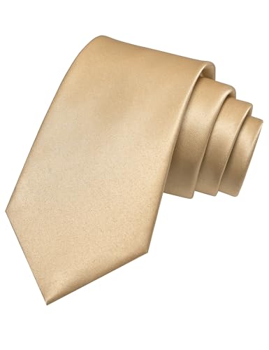 JEMYGINS Champagne Tie Mens Necktie for Wedding and Business(8cm) 81
