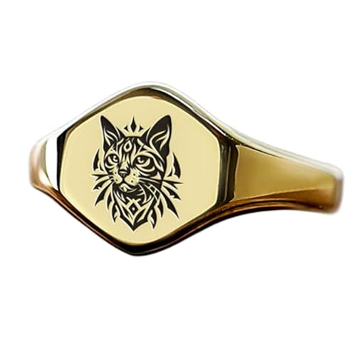Bague chat hexagonale argent sterling 925 chevalière vintage