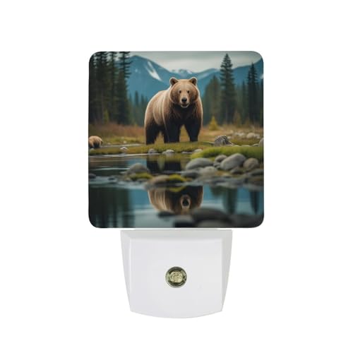 Plug-in LED Night Lights with Dusk to Dawn Sensor Auto On/Off Night Lamp