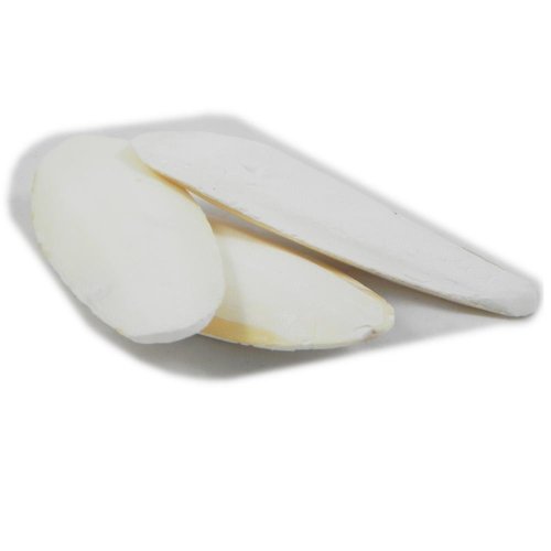 Living World Cuttlebone with Holder for Cage Bird, 4 to10-Inch, Bulk