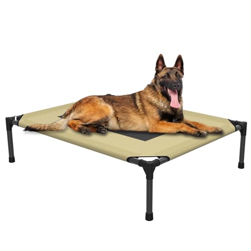 Elevated Dog Beds The 15 best products compared Wild Explained
