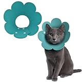 KEWUF