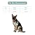 Small Doggie Door with Magnetic Locking Panel for Home Security - Durable & Weatherproof 13.5x11.1 for Small to Medium Dogs, Cats, Pets. Easy to Install