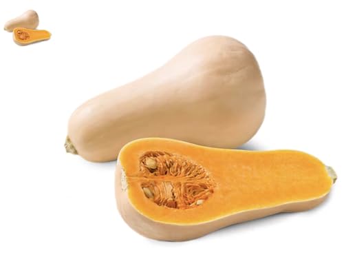 Organic Butternut Squash
