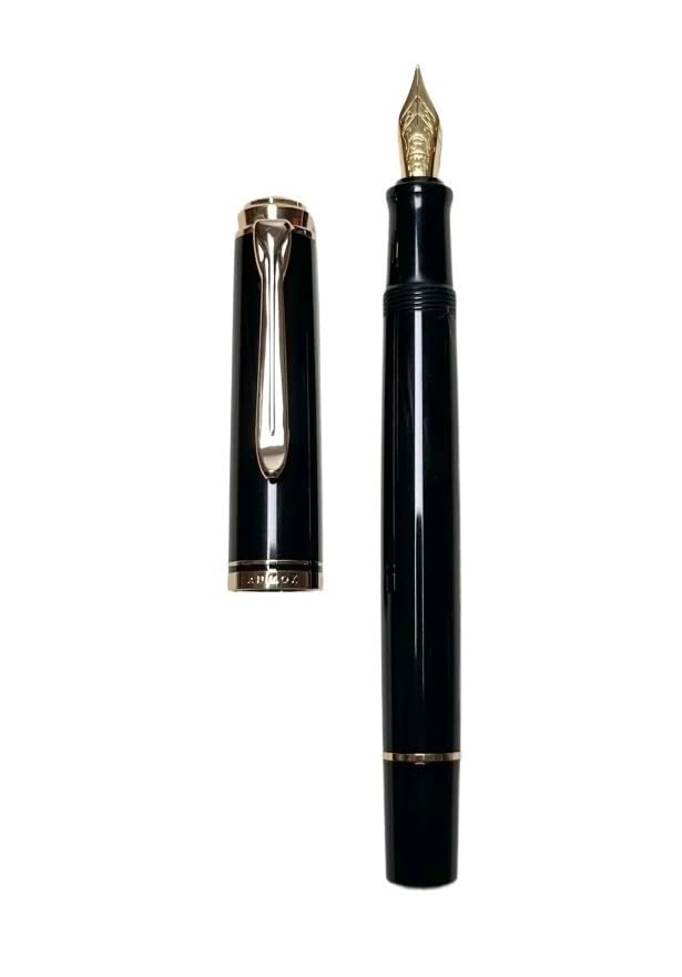 Stylo plume à piston élégant en acrylique avec plume Schmidt M, le cadeau parfait pour étudiants