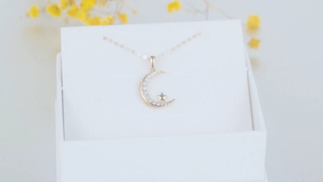 Amazon.com: SISGEM 14k White Gold Diamond Moon Pendant
