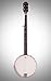 Epiphone MB-100 5-String Banjo