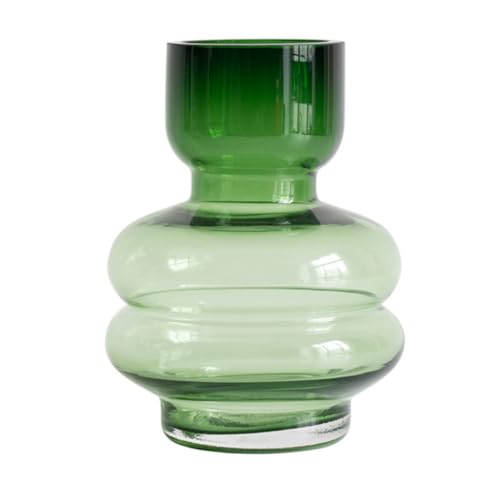 DOITOOL Jarrón de Cristal Transparente de Estilo Nórdico, Diseño Hidropónico para Flores y Plantas, Tamaño Mediano, Color Verde, Decoración para Escritorio y Sala de Estar, Pieza