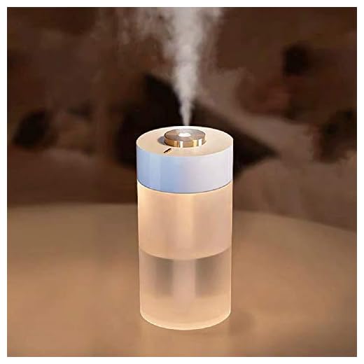 LYLYFAN Portable USB Humidifier Small Cool Mist Humidifier 350ml with Night Light for Bedroom Travel Home and Office
