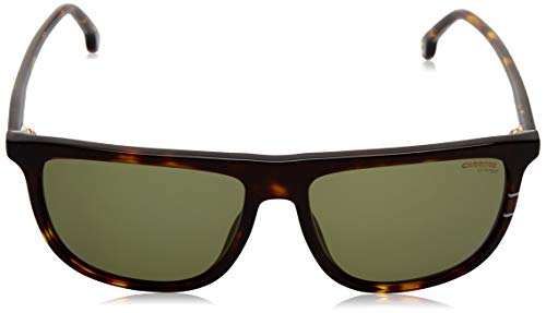 Carrera Men's 218/S Square Sunglasses, Havana Green/Green, 58mm, 16mm2