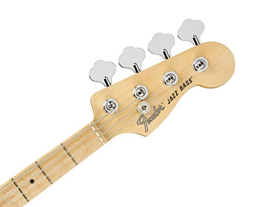 Amazon.co.jp: Fender: USA