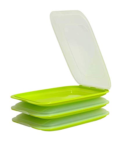 Design 3X Aufschnittboxen/Frischhalteboxen/Frischhaltedose stapelbar in der Farbe Grün geeignet für Aufschnitt wie Wurst und Käse und vieles mehr in der Größe 25x17x3.3cm Cover