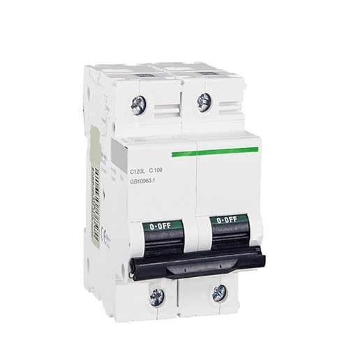 Disjoncteur C120L 2p type C 100A 15kA A9N19848 pour protection circuit