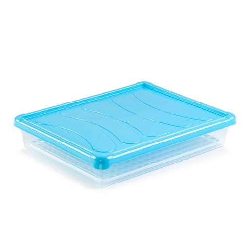 Tradineur - Bandeja frigorífica de almacenamiento con tapa y rejilla, plástico, reutilizable, descongelar alimentos, fabricado en España - 4 litros - 35 x 27,5 x 6,5 cm – Color surtido